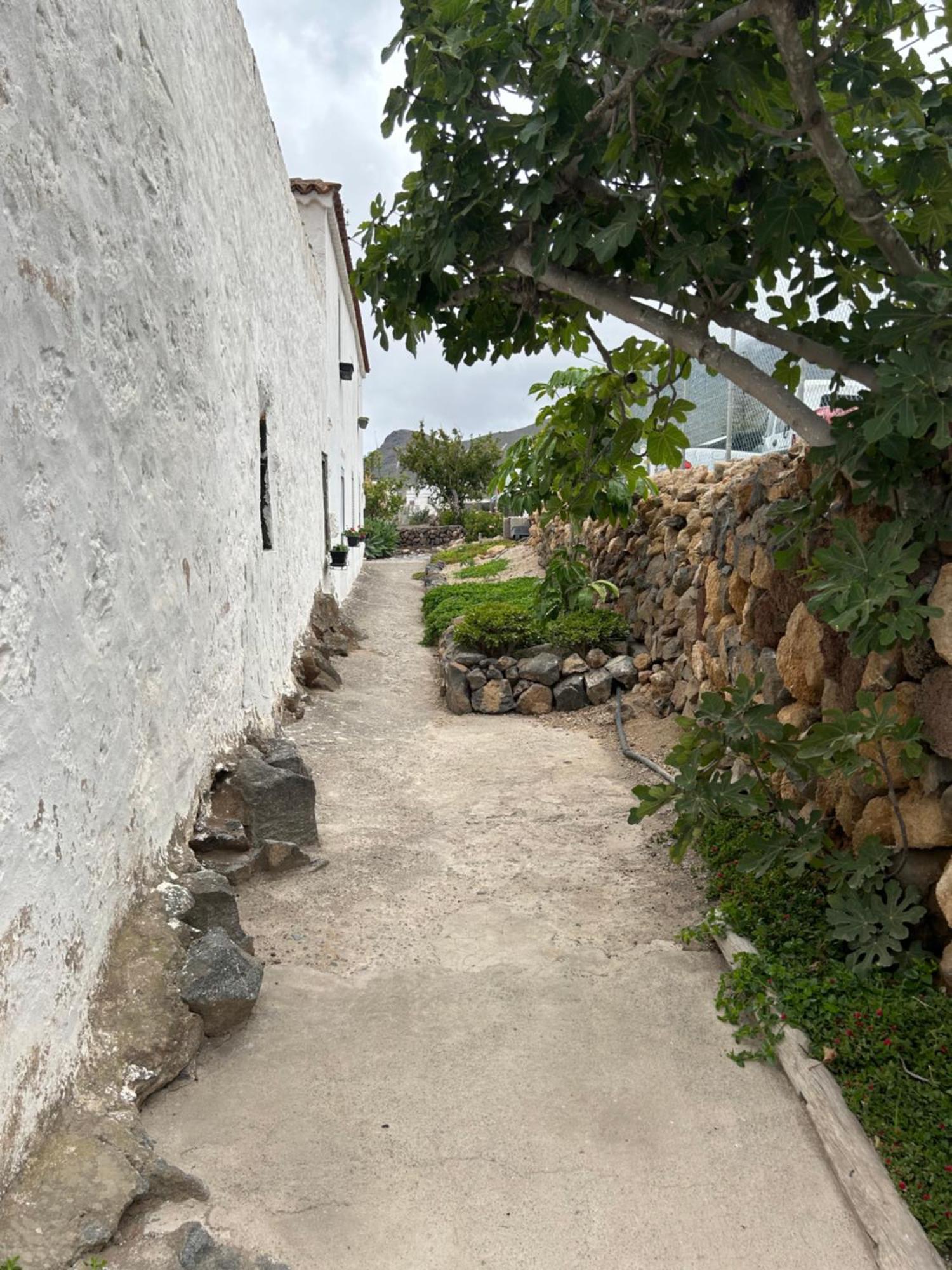 Casa Rural El Pasil 2 Arona  Ngoại thất bức ảnh